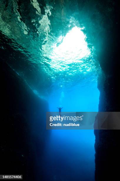 underwater silhouette - malta diving stock pictures, royalty-free photos & images
