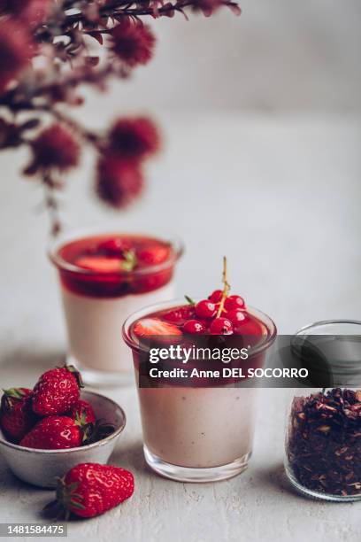 fresh panna cotta cream with currants  and strawberry - panna cotta photos et images de collection