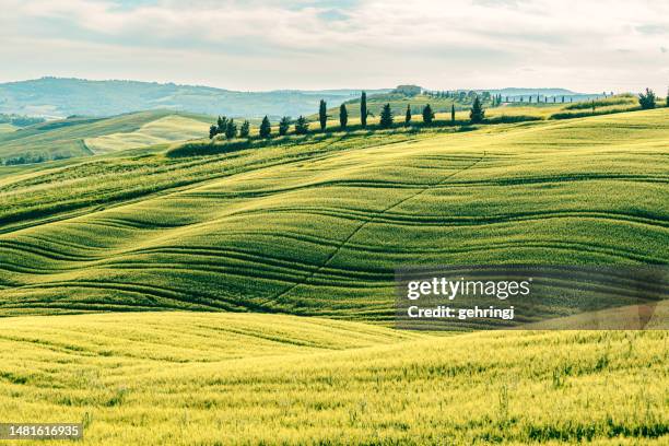 spring landcape of tuscany, val d'orcia, italy - verde jade imagens e fotografias de stock