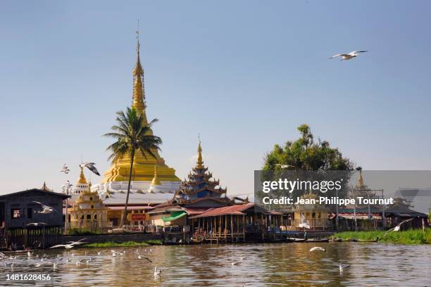 Pauk Rolap 32 Pauk Myanmar Stock Photos, High-Res Pictures, and Images - Getty Images