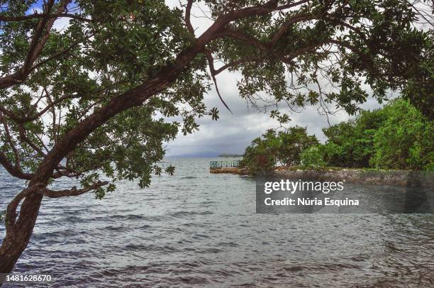 tropical beach in jamaica - jamaica beach stock pictures, royalty-free photos & images