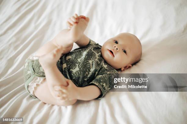 12,656 Baby Of The House Stock Photos, HighRes Pictures, and Images