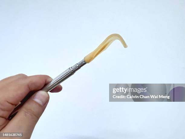 39 Back Scratcher Stock Photos, High-Res Pictures, and Images - Getty ...