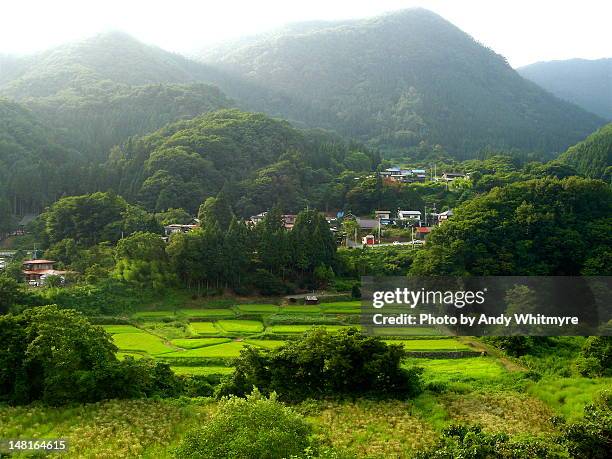 lush green - prefectura yamagata fotografías e imágenes de stock