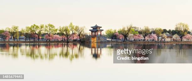 the summer palace in beijing, china, - ramos real imagens e fotografias de stock