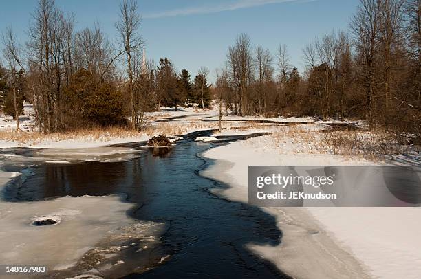 winter thaw - beaver dam stock pictures, royalty-free photos & images