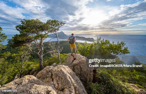 hikers on rocks, view of mountains and coast with sea, in the evening light, hiking to la trapa from sant elm, in the back island sa dragonera, serra de tramuntana, majorca, spain - trapa stock-fotos und bilder