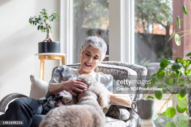 seniorin liebt ihren hundekumpel - witwe stock-fotos und bilder