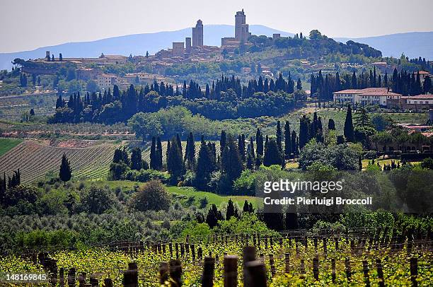 vineyards - san gimignano stock pictures, royalty-free photos & images
