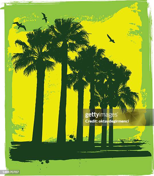 palm trees and seagull - dubai palm stock illustrations