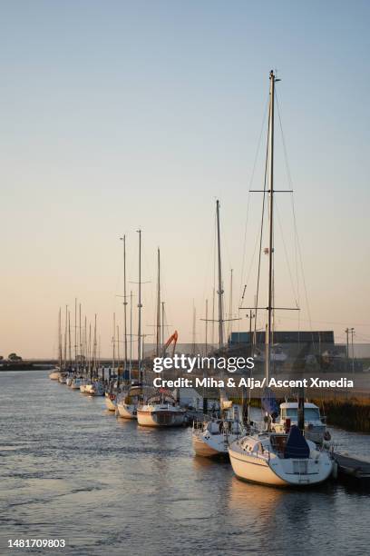 sailboats moored in harbour - aveiro district stock pictures, royalty-free photos & images