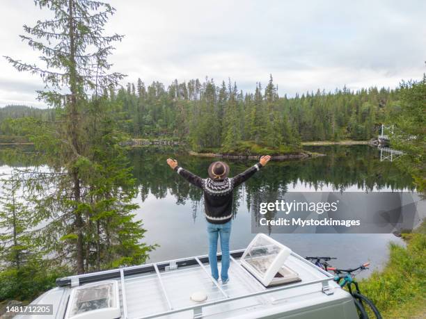 drone view of man on the roof of a van looking at nature - lake shore stock pictures, royalty-free photos & images