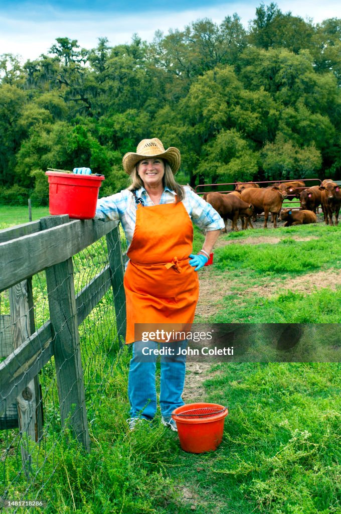 Florida Cattle Farmer