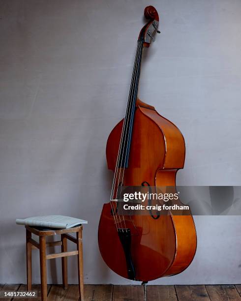 music 2 - bass instrument stock pictures, royalty-free photos & images