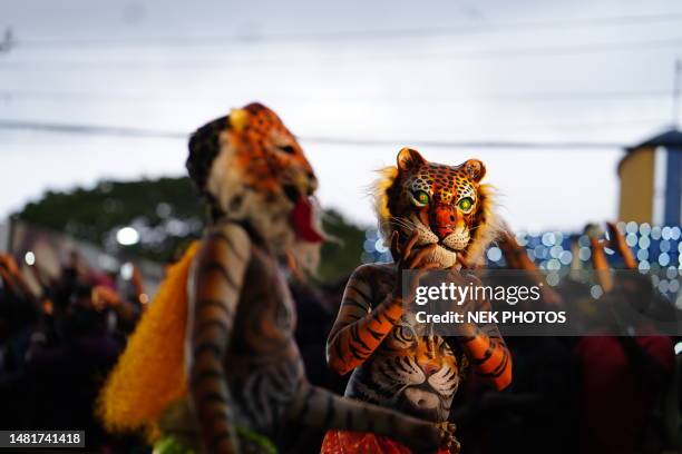 pulikali recreational folk art onam tiger dance - pulikali stock pictures, royalty-free photos & images