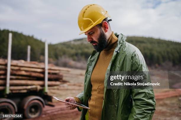 forest ranger checking timber harvesting - jägmästare bildbanksfoton och bilder