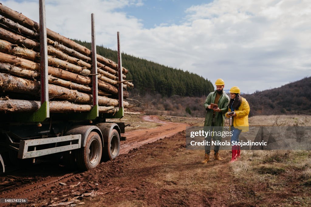 Two Forest rangers in the forest