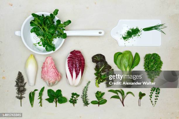 food knolling salad still-life - namaz stock-fotos und bilder