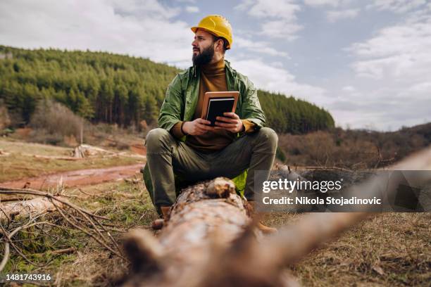 young handsome forest ranger - lumber industry stock pictures, royalty-free photos & images