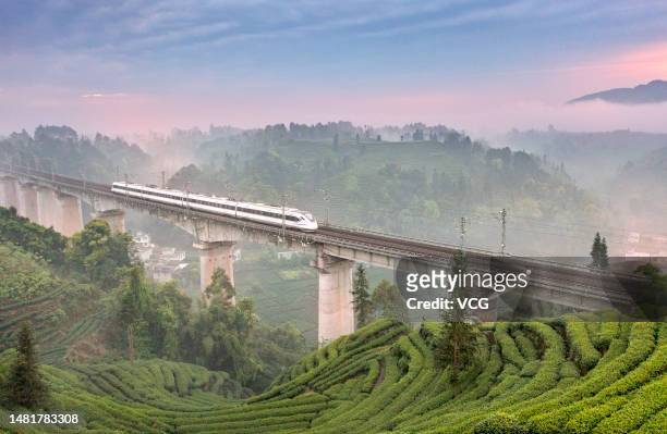 Bullet train runs through a tea garden on April 12, 2023 in Yan'an, Sichuan Province of China.