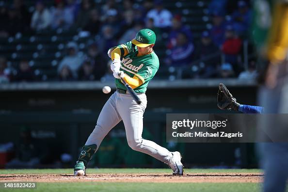 Timothy Soderstrom Tyler Soderstrom of the Oakland Athletics bats during a spring... News ...