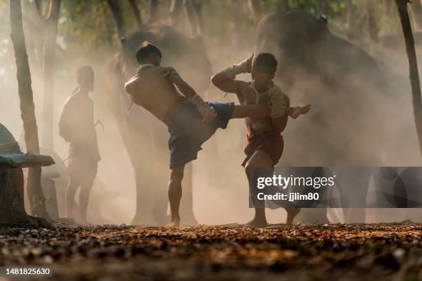 luchadores de muay thai. kick boxing tailandés. dos practicantes masculinos de muay thai demostrando técnicas y habilidades de muaythai durante los momentos de puesta de sol con un mahout y dos elefantes en el fondo. - muay thai fotografías e imágenes de stock