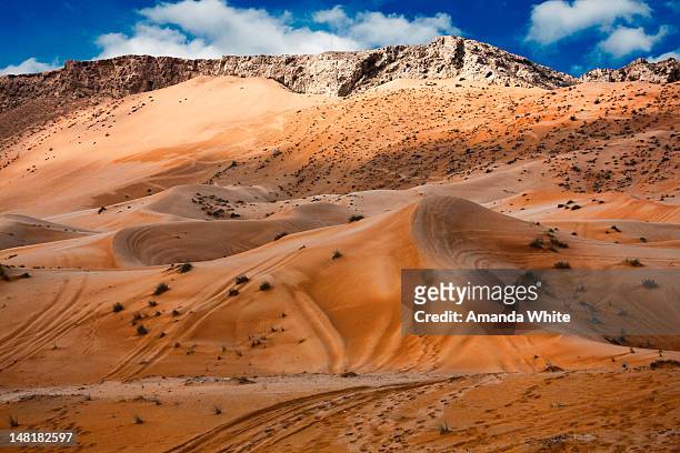 fujairah sand dunes - フジャイラ ストックフォトと画像