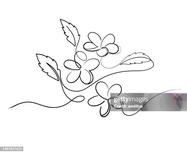 florale strichzeichnungen - duftend stock-grafiken, -clipart, -cartoons und -symbole