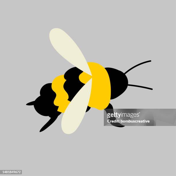 ilustrações de stock, clip art, desenhos animados e ícones de bee icon - bee stock illustrations