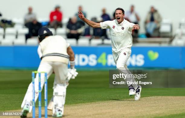 Chris Tremain of Northamptonshire celebrates after taking the wicket of Max Holden.during the LV= Insurance County Championship Division 1 match...