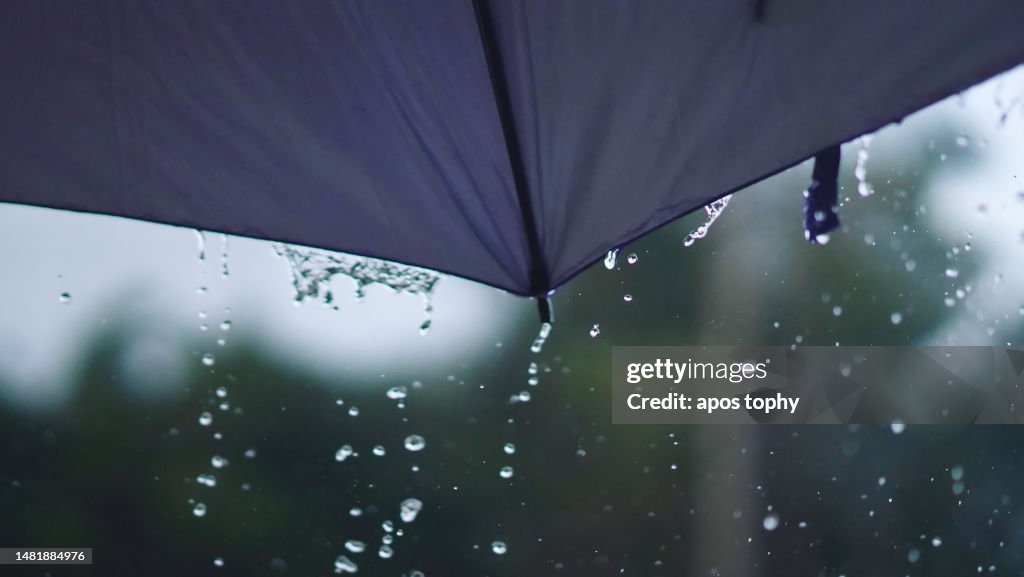 Umbrella Getting Rained On Rain Falling On Umbrella