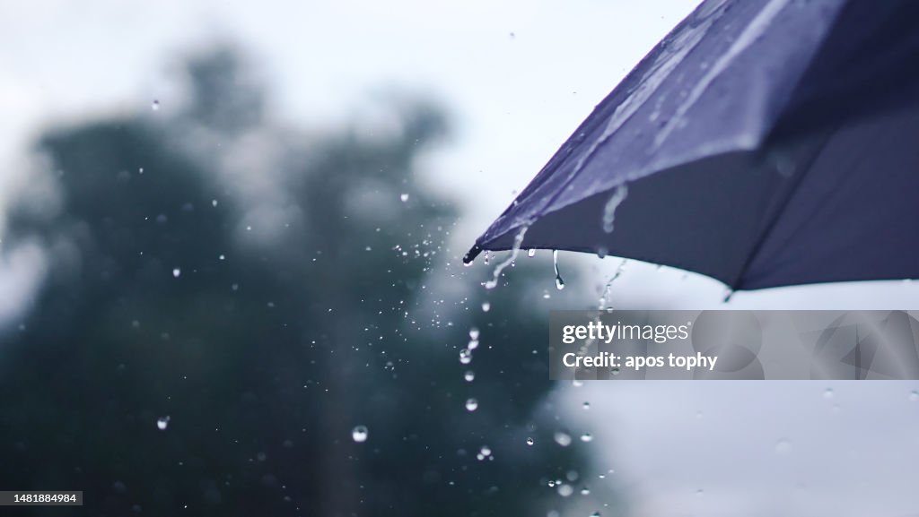 Umbrella Getting Rained On Rain Falling On The Umbrella High-Res Stock Photo - Getty Images