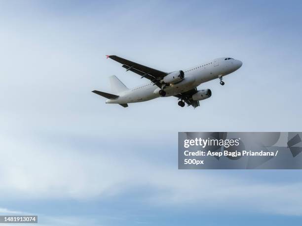 low angle view of airplane flying against sky,tallinn airport,estonia - low flying aircraft bildbanksfoton och bilder