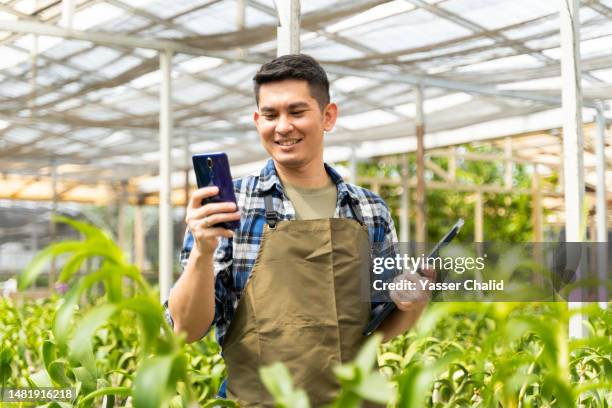 nursery plant worker using smartphone - indonesian farmer fotografías e imágenes de stock