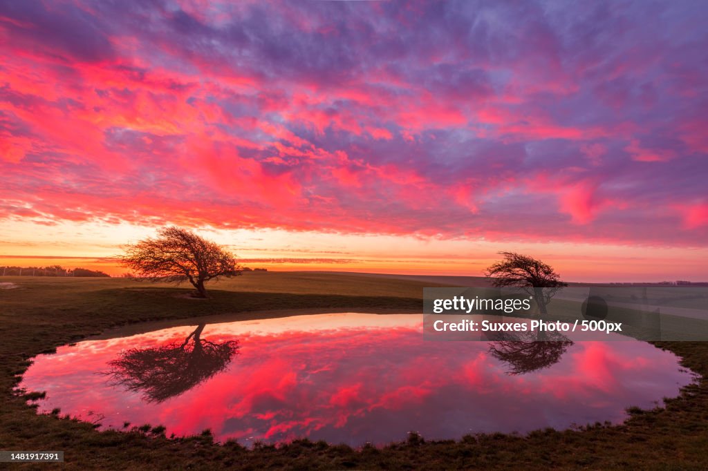 Ditchling beacon dawn dew pond south downs,Hassocks,United Kingdom,UK