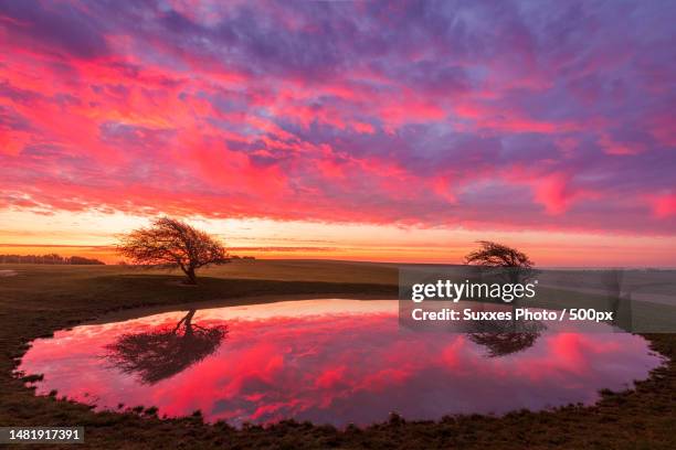 ditchling beacon dawn dew pond south downs,hassocks,united kingdom,uk - beacon stock pictures, royalty-free photos & images