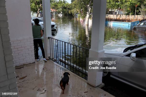 Lurvin Valdez looks out at a flooded street from her apartment building after record rains fell in the area on April 13, 2023 in Hollywood, Florida....
