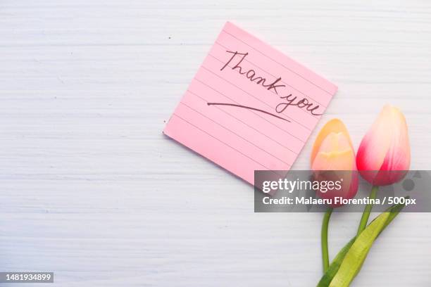 thank you message on sticky note with tulip flower on white background,romania - thank you card stock pictures, royalty-free photos & images