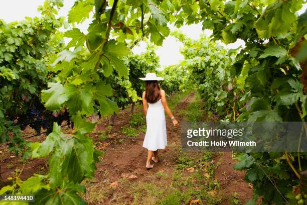 hispanic woman walking in vineyard - dolores hidalgo stock pictures, royalty-free photos & images