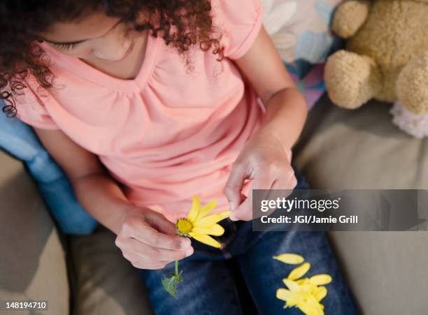 mixed race girl picking petals from flower - effeuiller la marguerite photos et images de collection