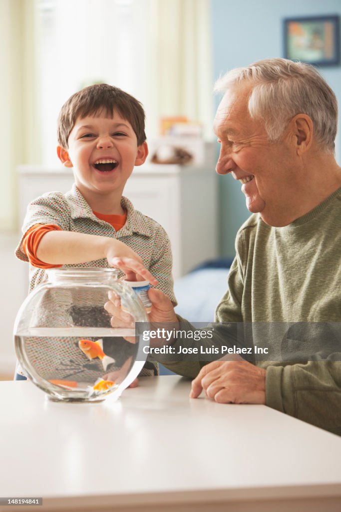 Caucasian man helping grandson feed goldfish