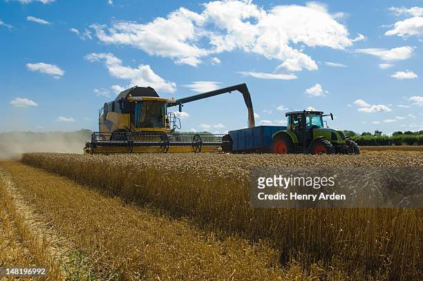 thresher de recolección de trigo - farm field combine fotografías e imágenes de stock