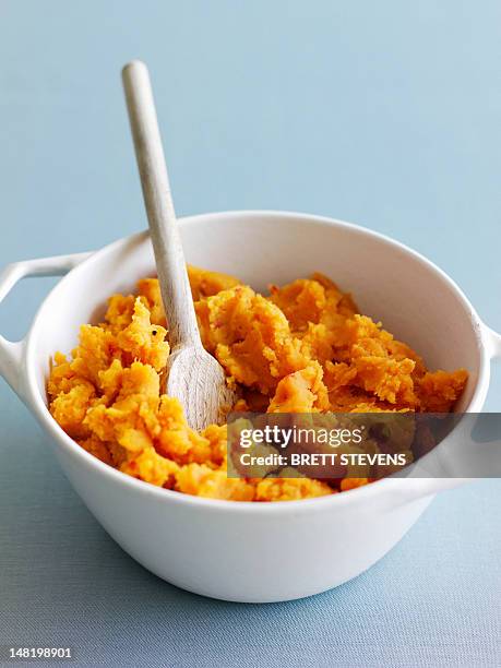 bowl of mashed sweet potatoes - puree photos et images de collection