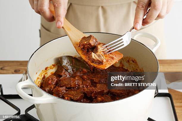 woman shredding meat in pot - plat mijoté photos et images de collection