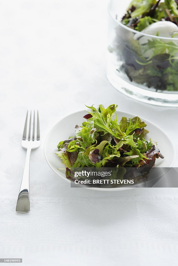 Close up of plate of green salad