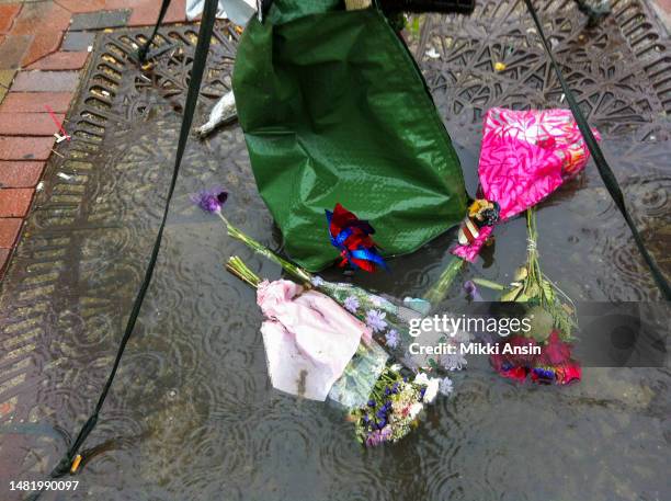 Close-up of flowers around the base of a tree at a memorial for the victims of the Boston Marathon Bombing , Copley Square, Boston, Massachusetts,...