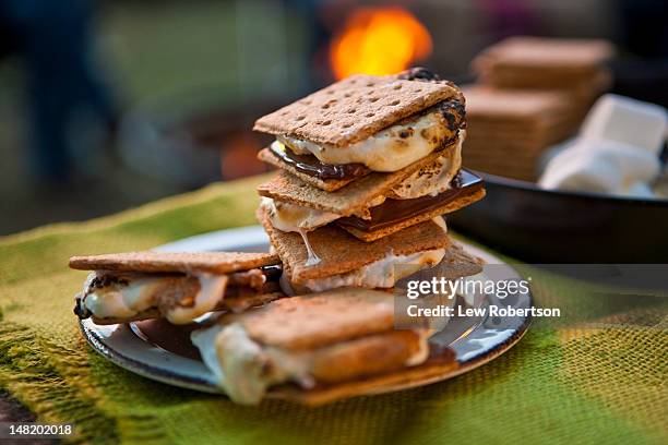 s'mores by a campfire - smore stock-fotos und bilder