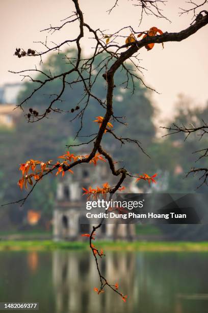 the capital of vietnam, ha noi. - hanoi night stockfoto's en -beelden