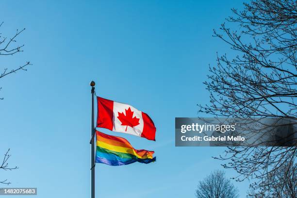 lgbtqia+ flag flying together with canadian flag - pride flag stock pictures, royalty-free photos & images