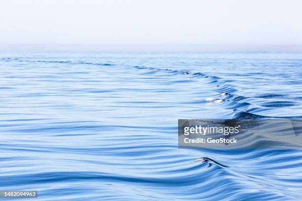 waves forming in the pacific ocean - fata morgana stock-fotos und bilder